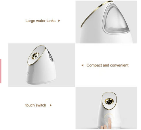 Ionic Facial Steamer